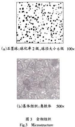 颗粒机破碎机 颗粒机破碎机
